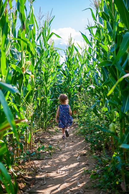 Bambina scappando nel campo di grano