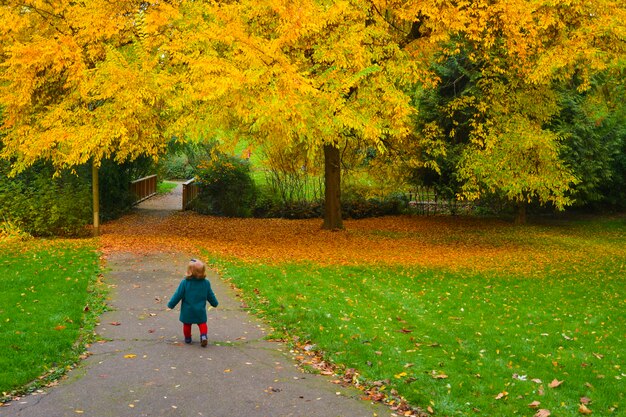 Little girl runs away in a park with yellow trees and fallen leaves