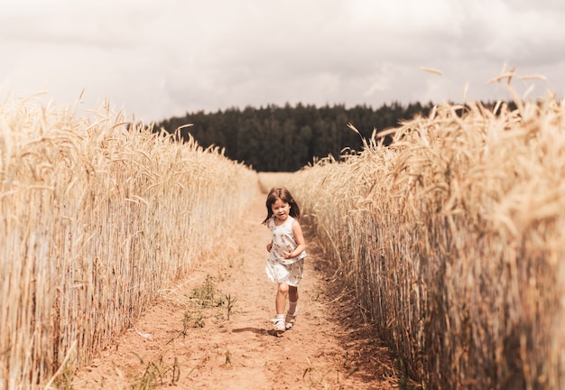 小さな女の子が麦畑を駆け抜けます。女の子は楽しんで、喜んで笑います。日没時にトウモロコシの熟した穂のある畑。