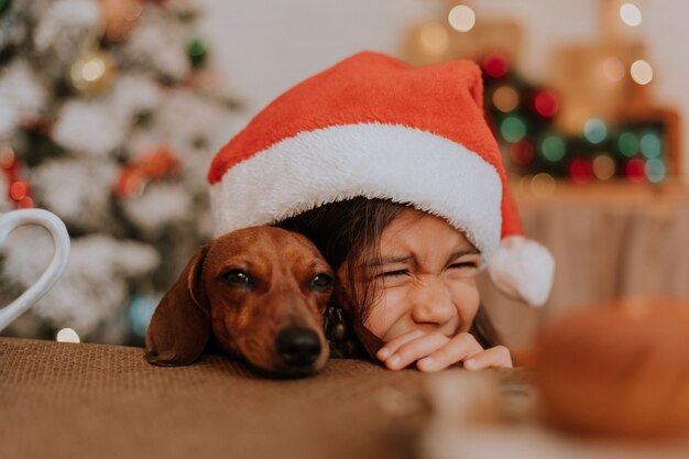 Little girl in Santa hat and a dwarf dachshund want to eat a plate of pastries and a Christmas cake