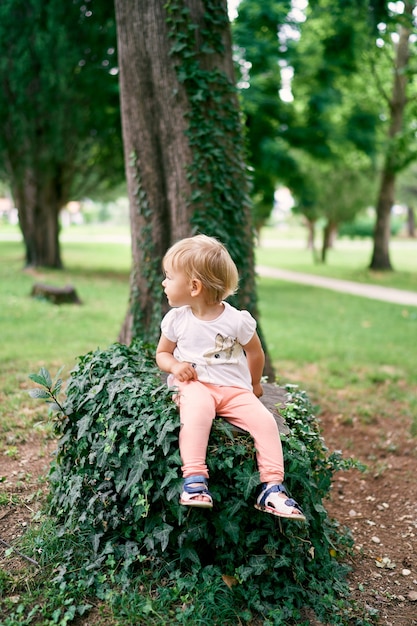 少女は公園で緑のツタと絡み合った木の切り株に座って頭を回します