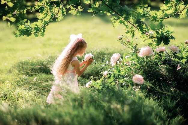 Little girl sniffs flowers. A child takes care of peonies in the summer