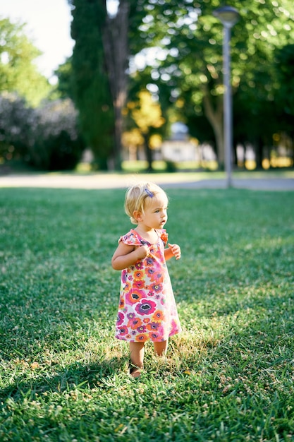 小さな女の子が公園の緑の芝生の上に横に立っています