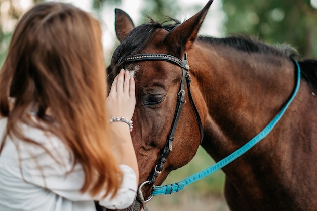 A little girl strokes a horse her favorite horse on the head