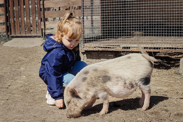 a little girl takes care of pets, feeds a pig in the yard