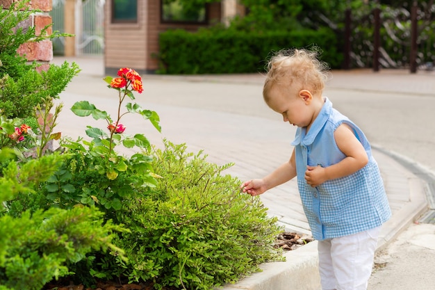 Little girl touching flowers in the summer garden with her hands