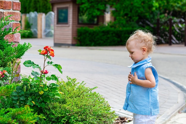 Little girl touching flowers in the summer garden with her hands