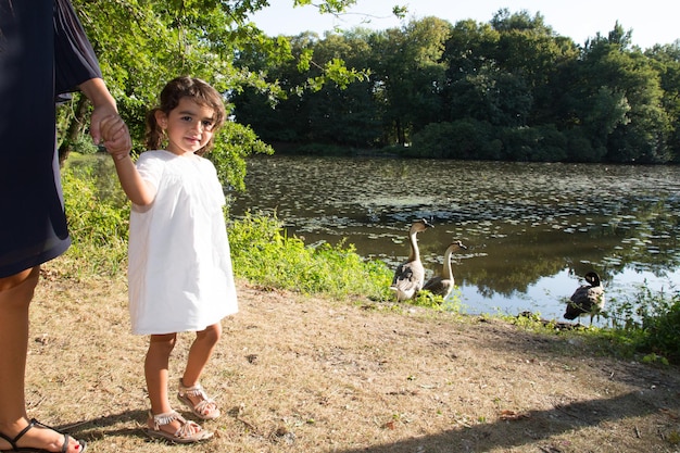 Little girl walking in park in mother hand near lake river with geese duck in water