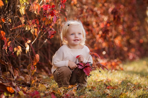 little girl walks in the autumn forest