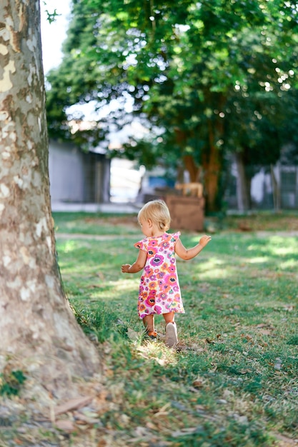 Little girl walks past a sycamore tree in a green park