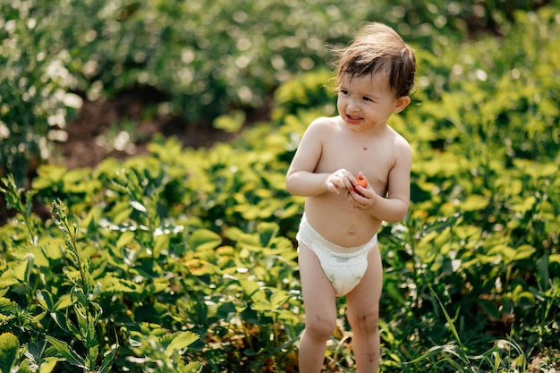 A little girl wearing only one diaper tastes sweet ripe strawberries in the village garden