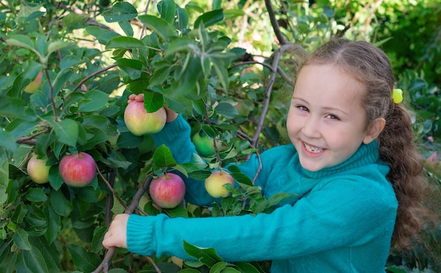 A little girl with an Apple in an Apple orchard