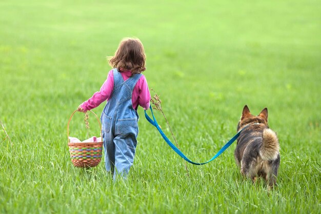 Little girl with dog walking on the field back to the camera