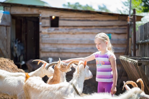 Little girl with goats on the farm