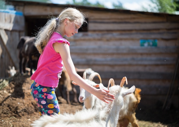 Bambina con capre in fattoria