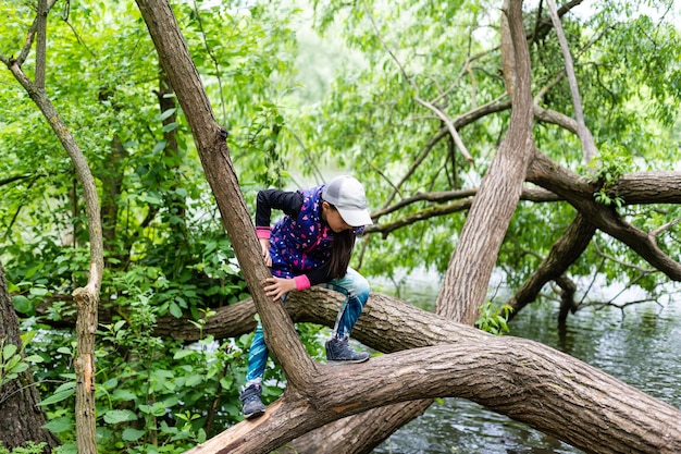 little girl with plaits is climbing on a tree.