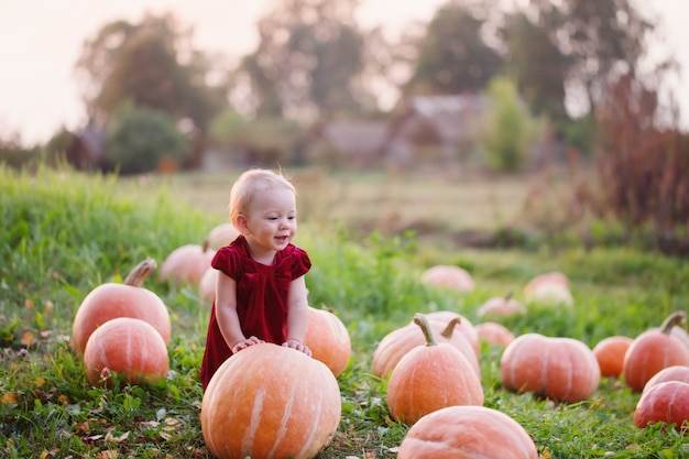 Маленькая девочка с тыквами на поле