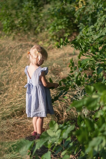 Little girl with two ponytails in blue dress near tree Back view Threeyearold blonde girl near green bush or tree