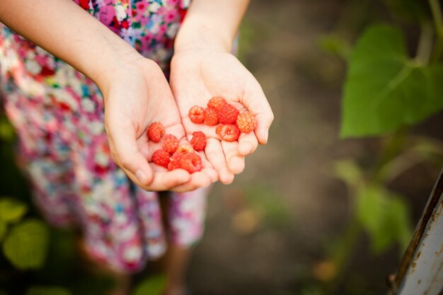 植物と小さな春裏庭の庭で働く少女。子供が農場で手伝って