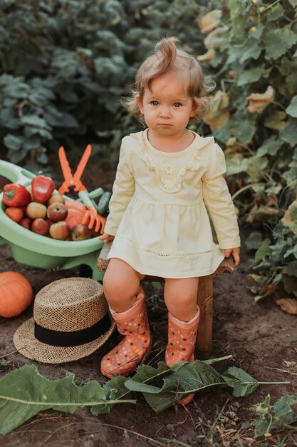 Little girl in a yellow dress and rubber boots is harvesting young farmer Concept of autumn time