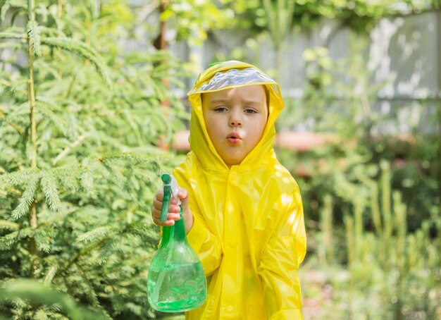 A little girl in a yellow raincoat with a spray gun in a coniferous greenhouse looks at the camera with a puzzled expression