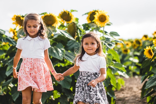 Photo little girls among of a sunflower among a field of sunflowers in the evening. summer concept, season of the year. close-up.