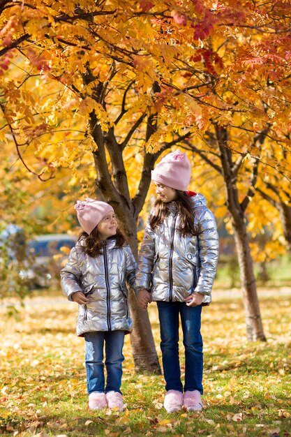 写真 同一の服を着た小さな女の子が秋の公園を歩いて楽しい