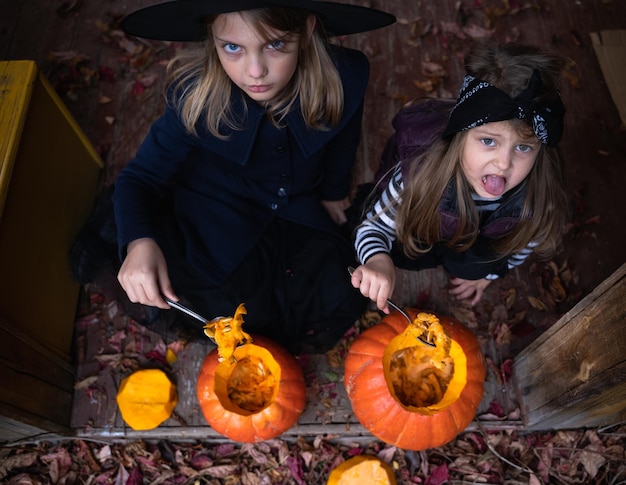 Фото Маленькие девочки делают фонарь из больших тыкв для празднования хэллоуинакостюм ведьмы шляпа пальто вырезать ножомвынуть мякоть с семечкамизадний двор для активного отдыхадетская вечеринка