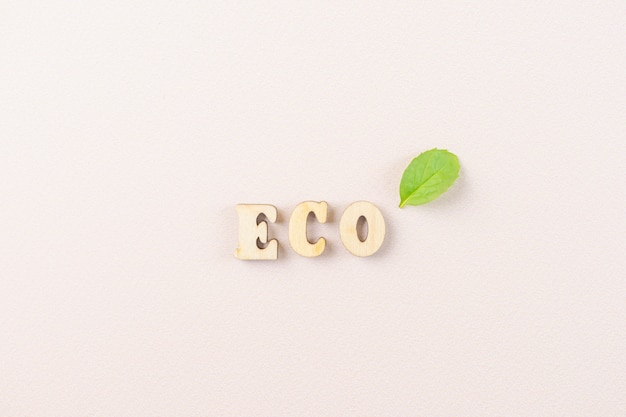 写真 小さな緑の葉と木製の文字からの単語eco