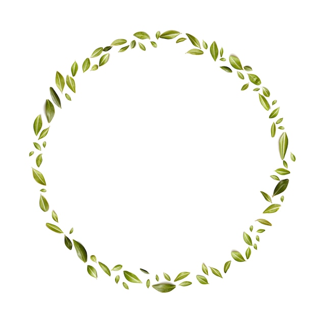 白い背景で隔離の小さな緑の葉。円の形で組織された緑の葉。フラットレイ