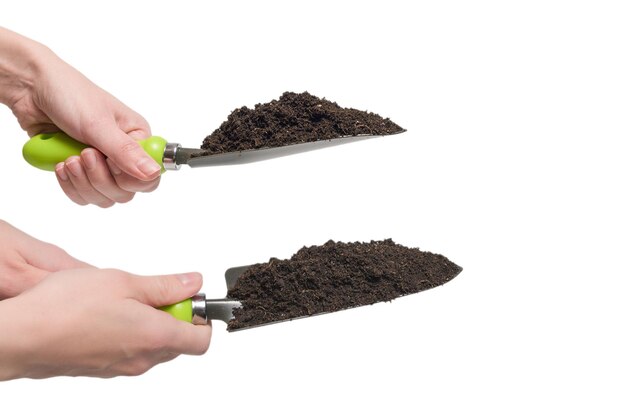 Little green shovel with soil in woman hand isolated on white background