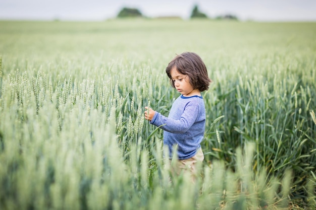 Little handsome baby boy walking in the field