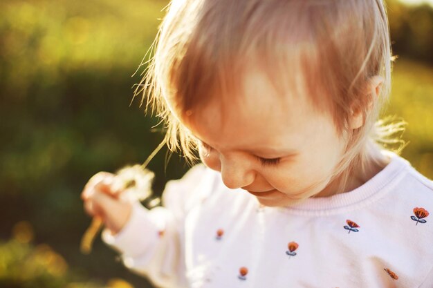 Little happy girl in a field with a dandelion in hand