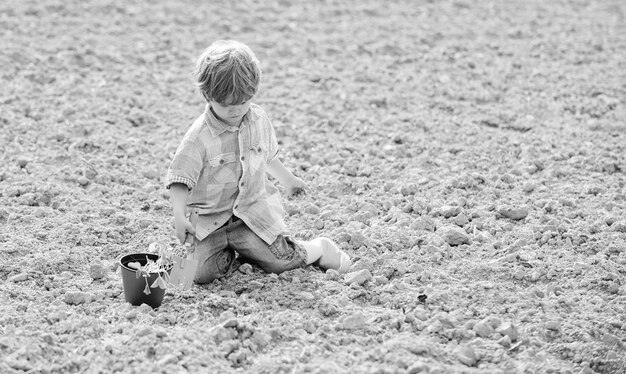 Little helper in garden Child having fun with little shovel and plant in pot Planting in field Planting seedlings Little boy planting flower in field Fun time at farm Happy childhood concept