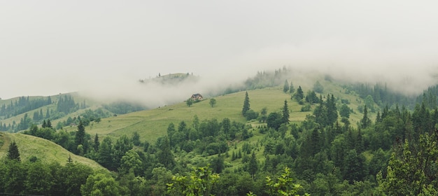 Little house on a green foggy mountain slope natural landscape background Panoramic view