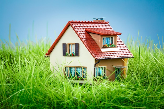 Little House on the green grass