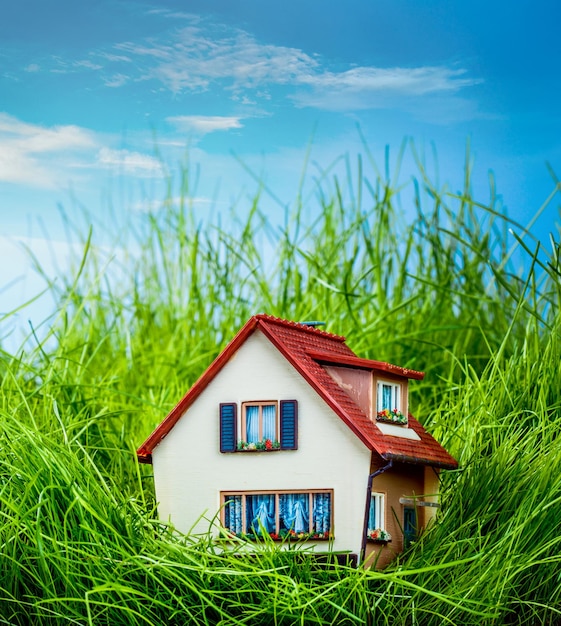 Little House on the green grass