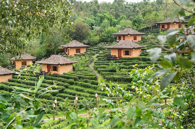 Маленькая хижина на чайной плантации Mae Hong Son