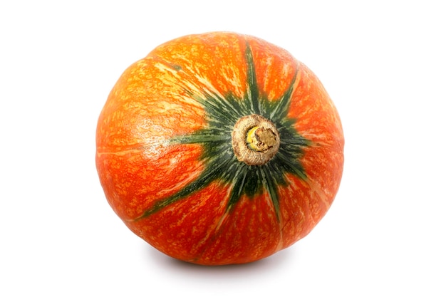 Little Japanese Pumpkin isolated on white background with clipping path