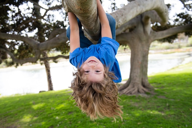 Маленький мальчик на ветке дерева карабкается и вешает детский портрет красивого ребенка в парке среди...