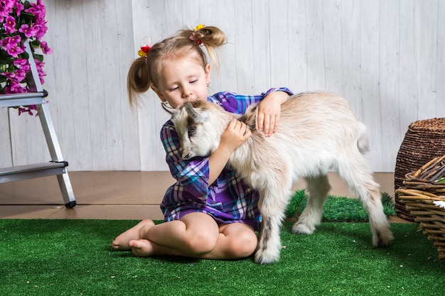 Little kid girl playing with goats in farmland