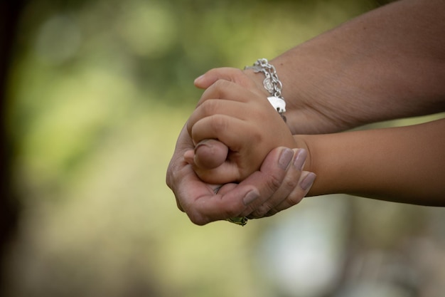 Little kid holding family member mother hand as a together family