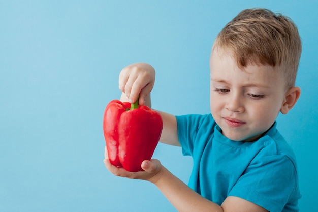 Little kid holding pepper in his hands on blue wall. Vegan and healthy concept.