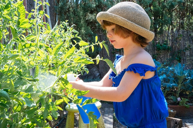 Little kid spaying vegetables in the orchard with plant protection