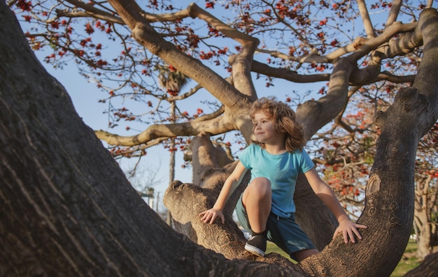 Little kid on a tree branch child climbs a tree