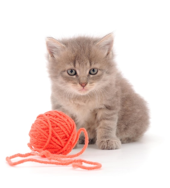 Little kitten playing with a ball of yarn