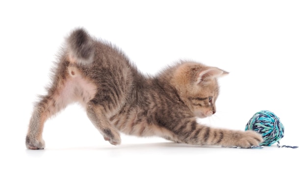 Photo little kitten playing with a ball of yarn