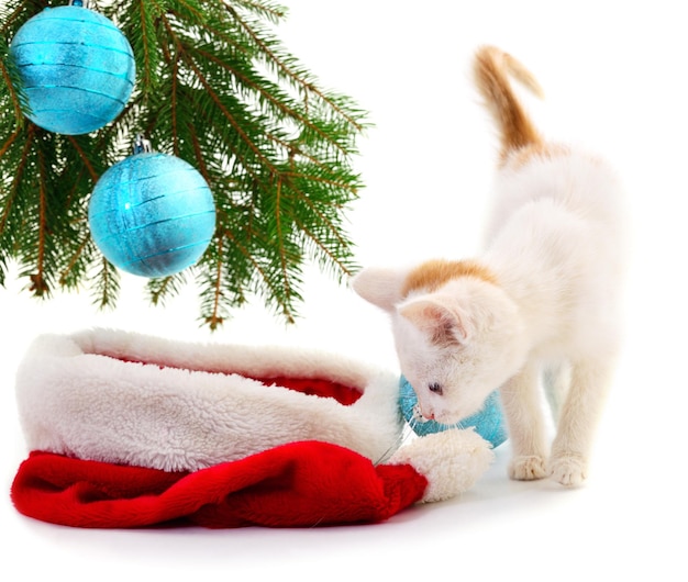 Маленький котенок с рождественскими украшениями