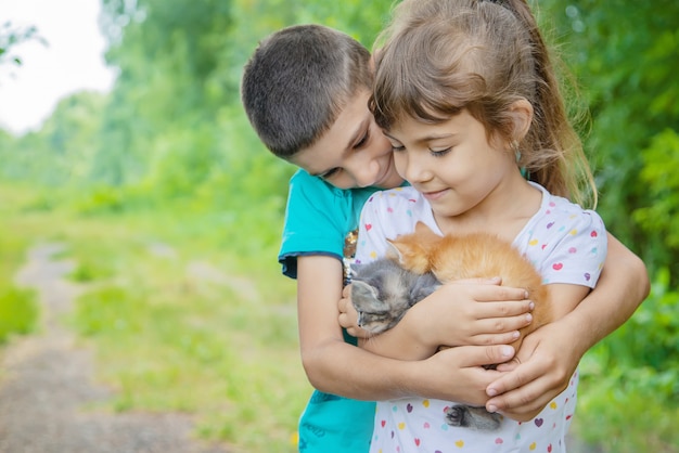 Little kittens in the hands of children