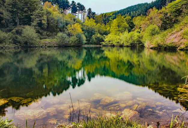 Little lake in the wild nature